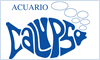 ACUARIO CALYPSO NO.1 logo