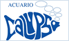 ACUARIO CALYPSO NO.1