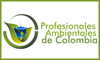 AMBIPROF logo