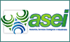 ASEI S.A.S logo