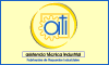 ASISTENCIA TÉCNICA INDUSTRIAL