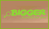 BIGGER CINTURONES