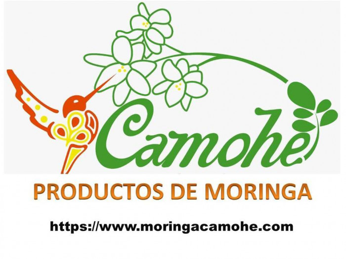 CAMOHE PRODUCTOS DE MORINGA logo