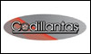 CODILLANTAS logo