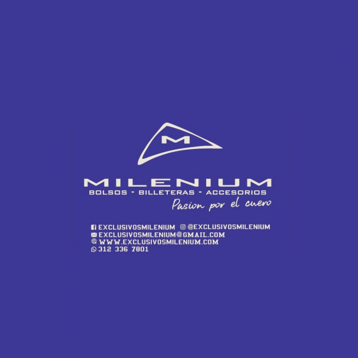 EXCLUSIVOS MILENIUM