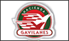 HACIENDA GAVILANES logo