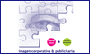 IMAGEN CORPORATIVA & PUBLICITARIA