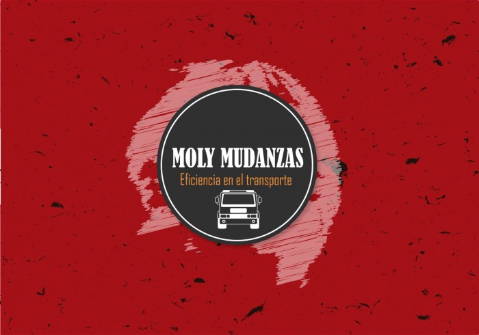 Molymudanzas logo