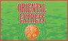 RESTAURANTE ORIENTAL EXPRESS logo