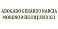 Abogado Gerardo Narcia Moreno Asesor Juridico