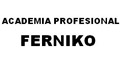Academia Profesional Ferniko