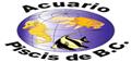 Acuario Piscis De Baja California logo