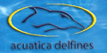 ACUATICA DELFINES