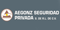 Aegonz Seguridad Privada S De Rl De Cv