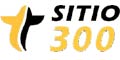 Aeropuerto Taxis Sitio 300 logo