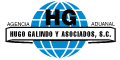 Agencia Aduanal Hugo Galindo Y Asociados, Sc logo