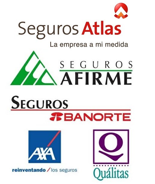 Agencia de Seguros Gómez y Gómez logo