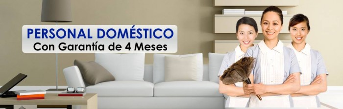 Agencia Domestica Norma logo