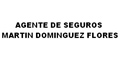 Agente De Seguros Martin Dominguez Flores logo