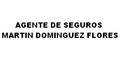 Agente De Seguros Martin Dominguez Flores