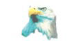 Aguila Aceros Inox logo