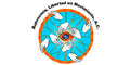 Alem Morelos Autonomia Libertad En Movimiento logo
