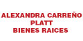 Alexandra Carreño Platt Bienes Raices logo