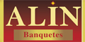 Alin logo