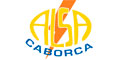 Alsa Caborca logo