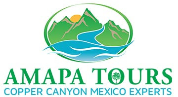 Amapa Tours logo