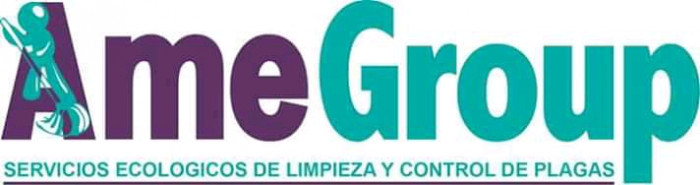 Ame Group logo