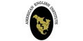 American English Institute logo