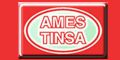 Ames Tinsa logo