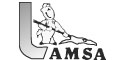 Amsa logo