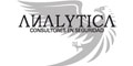 Analytica Consultores En Seguridad logo