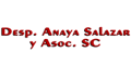 ANAYA SALAZAR Y ASOCIADOS SC logo