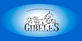 Anestesia Cibeles logo