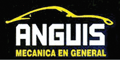 Anguis A/C Automotriz Y Mecanica En General logo