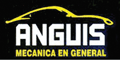 Anguis A/C Automotriz Y Mecanica En General