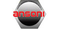 Ansoni Ingenieria Y Suministros Sa De Cv