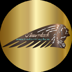 Anunplack logo