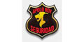 Apolo Roy Seguridad logo