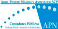 Ariel Puerto Najera Y Asociados Scp logo