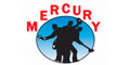 Asesores Y Pintores Mercury logo