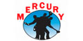 Asesores Y Pintores Mercury