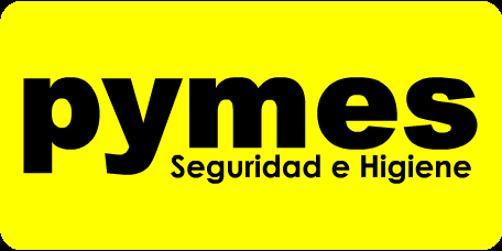 ASESORIA EN SEGURIDAD INDUSTRIAL E HIGIENE PYMES logo