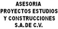 Asesoria Proyectos Estudios Y Construcciones S.A De C.V