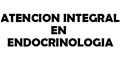 Atencion Integral En Endocrinologia