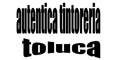AUTENTICA TINTORERIA TOLUCA logo