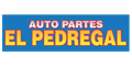 Auto Partes El Pedregal logo